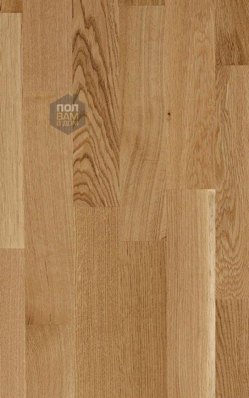 Паркетная доска Focus Floor Дуб Шарминг