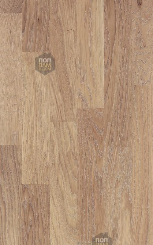 Паркетная доска Focus Floor Дуб Salar Oiled 3S