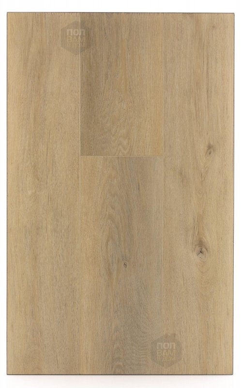 SPC ламинат FirstFloor Молочный дуб сканди 1F016