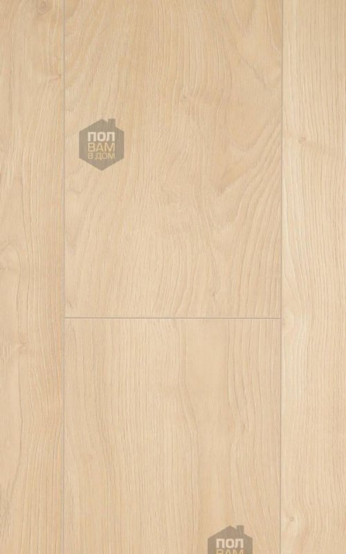 Ламинат My Floor Дуб Макро светлый ML1012